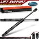 2Pcs Front Hood Lift Supports Shocks Struts for Infiniti FX35 FX45 2003-2008 SUV