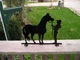 Western Horse Whisperer Mailbox Topper