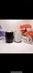 Bev Steel Stemless Wine Tumbler, 12 oz | Double Wall Vacuum Insulated
