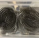Grip Rite MAXC62875 15-Deg Wire Coil 1-1/4"x.09" SS Siding Nails 1000/Box