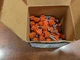 Remington Low Velocity Power Fasteners 1" L 100 pk 58048