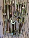 Hillman 375665 Strike Anchor 1/2"x3 1/2" (25 Pack)
