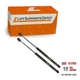 Qty (2)  PM1059 Fits FX35 FX45 2003 to 2008 Hood Lift Supports Shocks Struts 