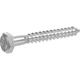 The Hillman Group 230057 Zinc Hex Lag Screw, 5/16" x 3", 100 Pieces