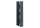 Panduit NetRunner Vertical Cable Manager WMPV22E