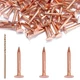GOORY 120Pcs Copper Nails 1 Inch  with 1/16 Inch Drill Bit  99.95% Pure Coppe...