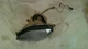 2003 Suzuki LT-F250 250 Ozark left headlight head light with wiring bulb is good