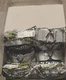 HexArmor MX300, ANTI-FOG, SAFETY GLASSES New in Box Save shipping on multiples