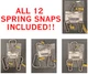 BULK LOT OF 12 Assorted National Hardware 3166BC Stainless Steel Spring Snaps