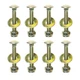 Metalsuberg 1/4" x 11/2" Carriage Bolt by Color Galvanization of Square Neck ...